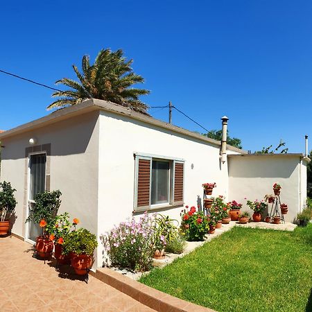 Repanidhion Repanidi Apartment D / Ρεπανίδι Διαμέρισμα Δ מראה חיצוני תמונה