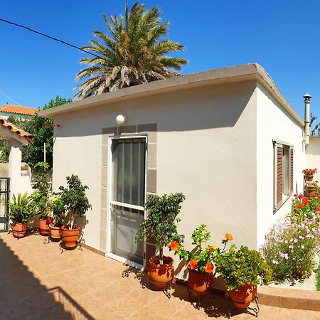 Repanidhion Repanidi Apartment D / Ρεπανίδι Διαμέρισμα Δ מראה חיצוני תמונה