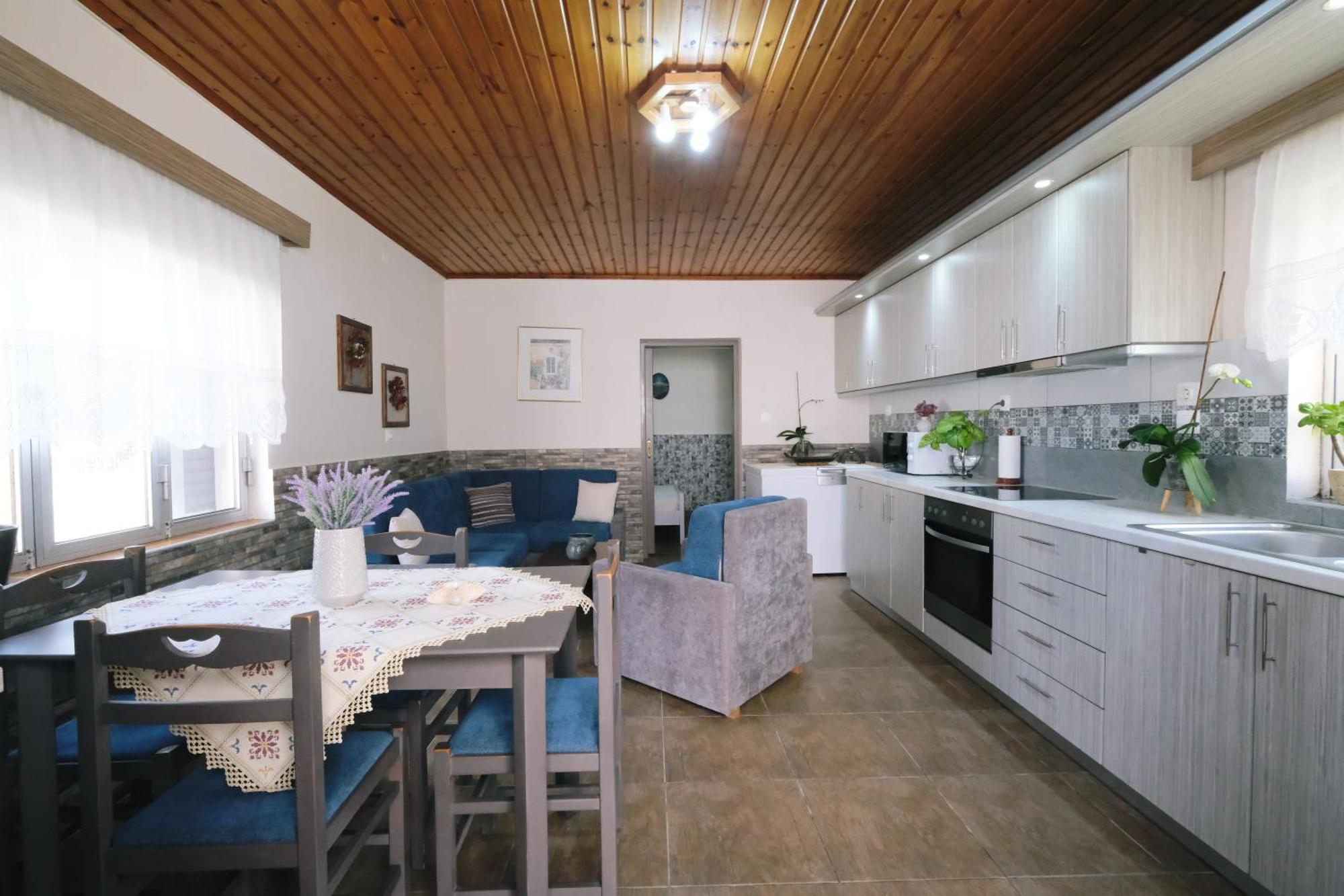 Repanidhion Repanidi Apartment D / Ρεπανίδι Διαμέρισμα Δ מראה חיצוני תמונה