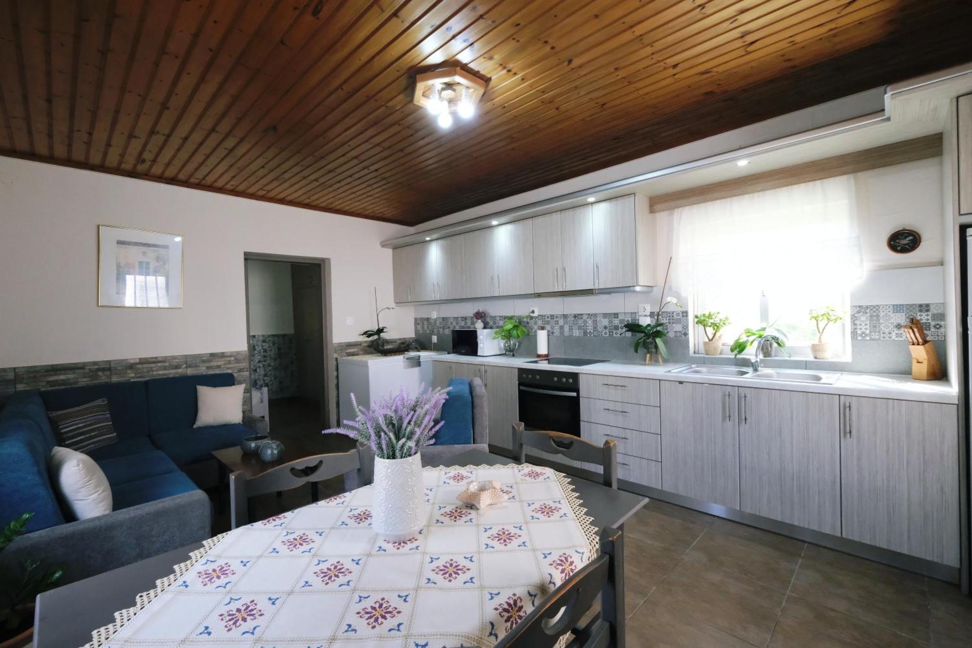 Repanidhion Repanidi Apartment D / Ρεπανίδι Διαμέρισμα Δ מראה חיצוני תמונה
