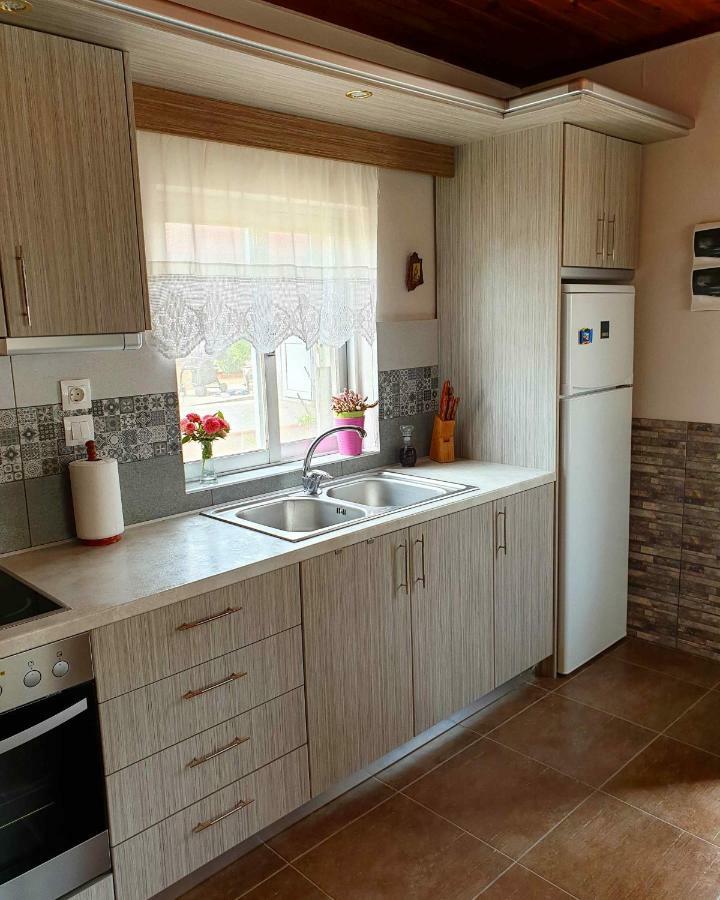 Repanidhion Repanidi Apartment D / Ρεπανίδι Διαμέρισμα Δ מראה חיצוני תמונה