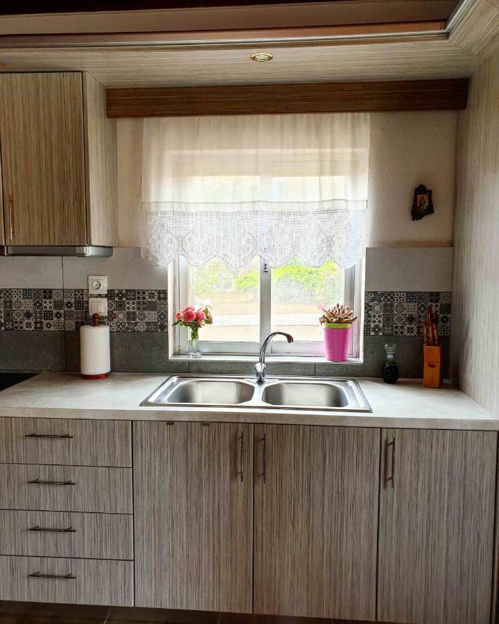 Repanidhion Repanidi Apartment D / Ρεπανίδι Διαμέρισμα Δ מראה חיצוני תמונה
