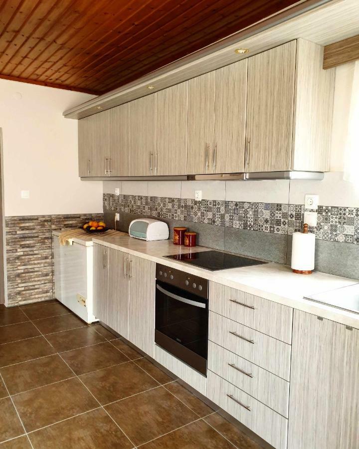 Repanidhion Repanidi Apartment D / Ρεπανίδι Διαμέρισμα Δ מראה חיצוני תמונה