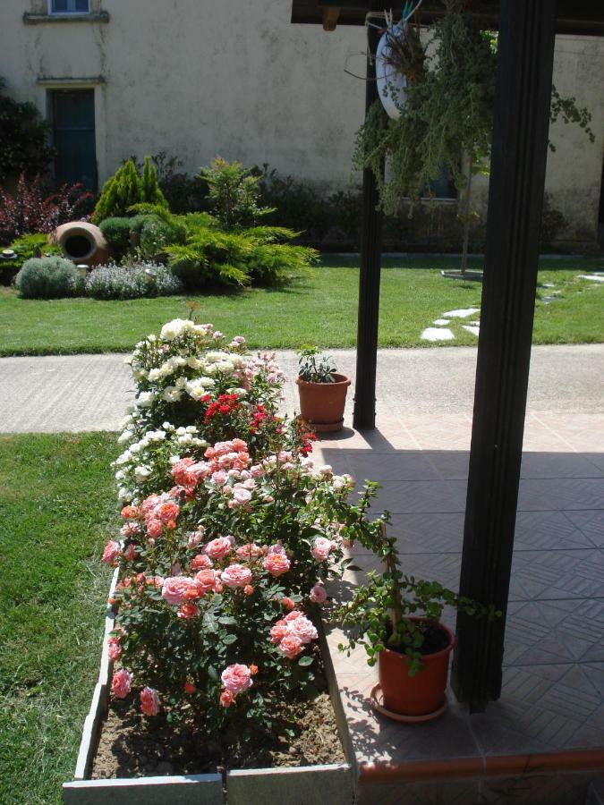 Repanidhion Repanidi Apartment D / Ρεπανίδι Διαμέρισμα Δ מראה חיצוני תמונה