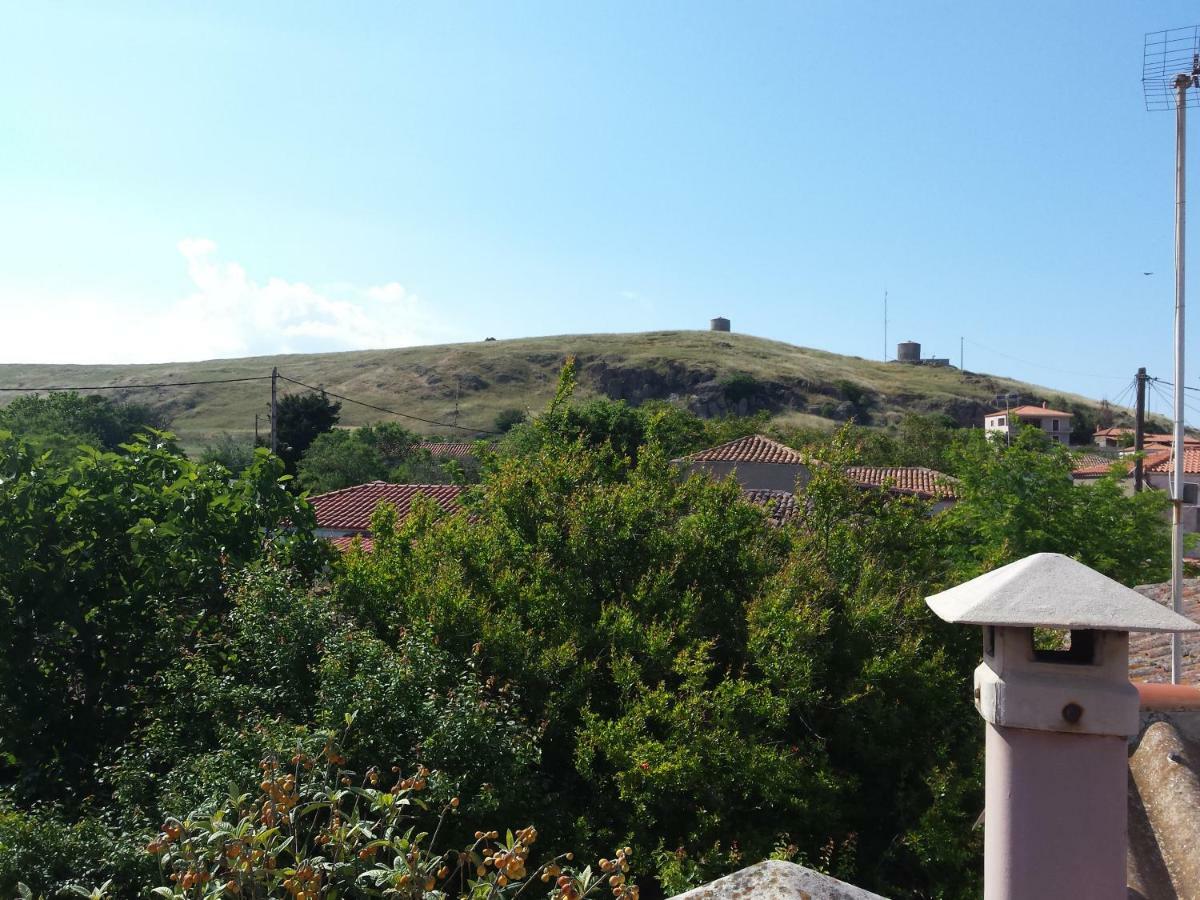 Repanidhion Repanidi Apartment D / Ρεπανίδι Διαμέρισμα Δ מראה חיצוני תמונה