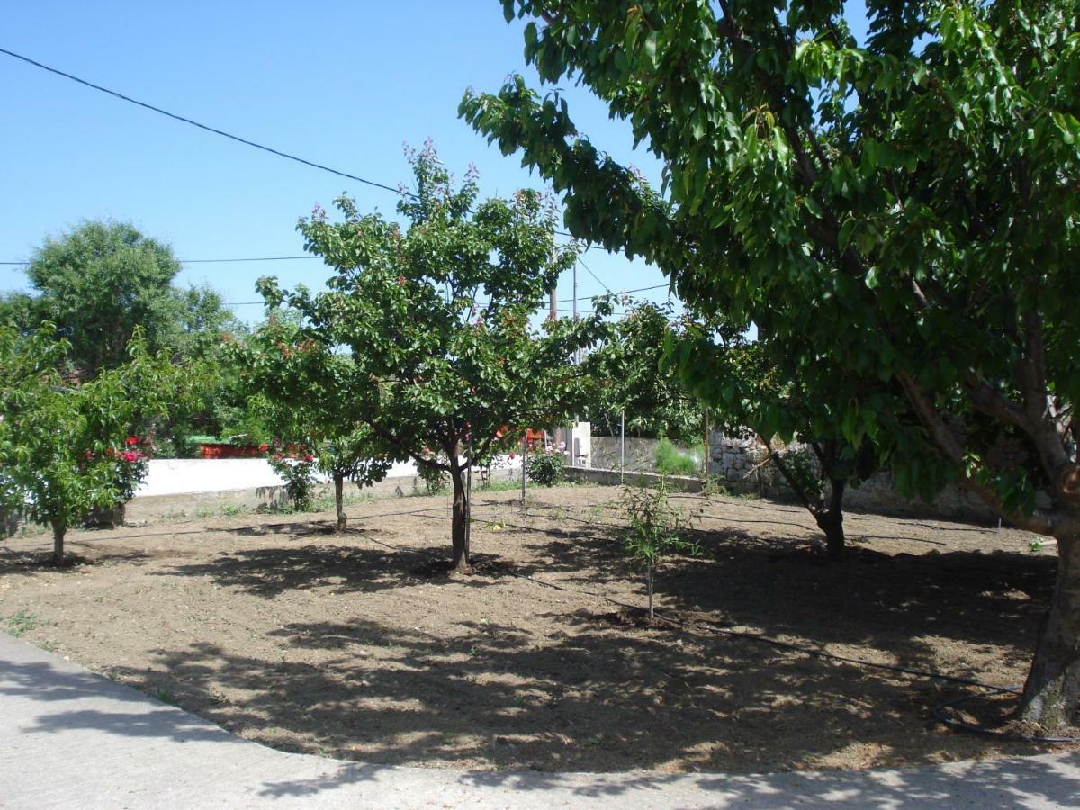 Repanidhion Repanidi Apartment D / Ρεπανίδι Διαμέρισμα Δ מראה חיצוני תמונה